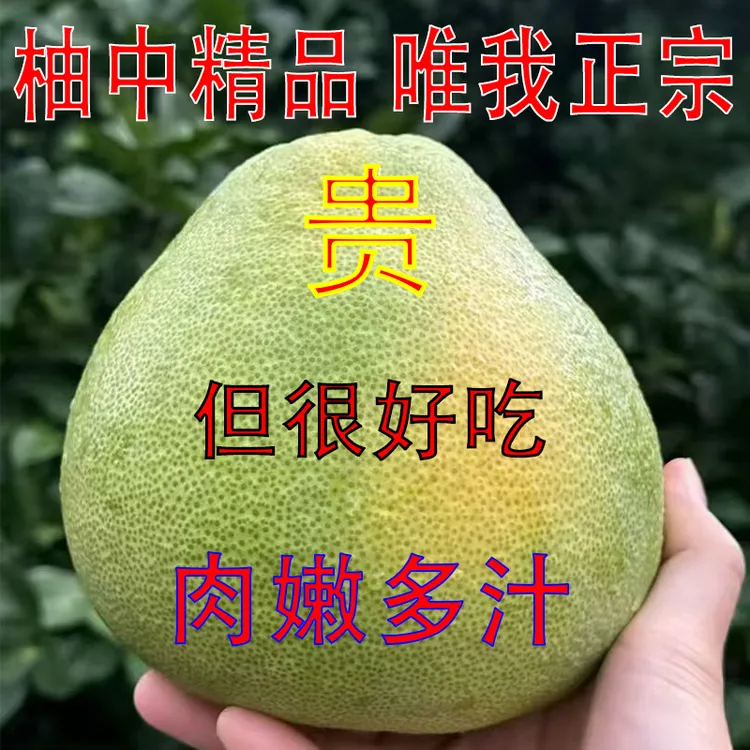 正宗度尾文旦柚福建文旦柚子无虾线孕妇应季水果肉嫩多汁