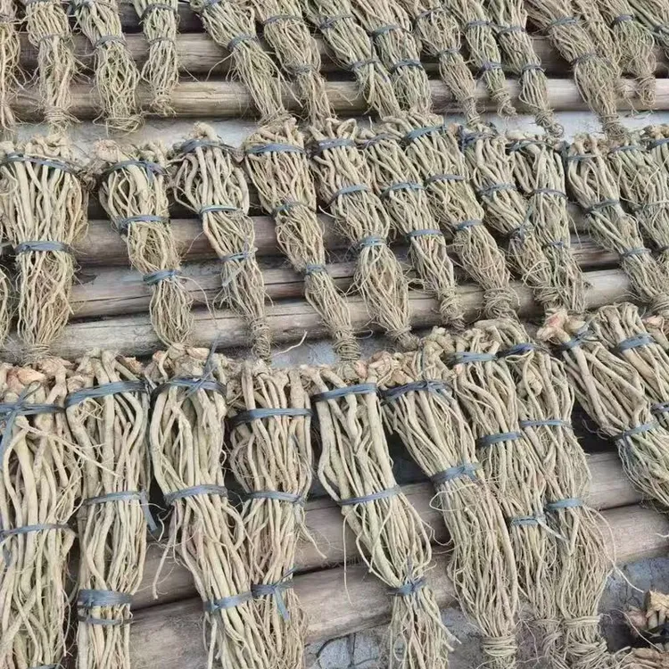 正宗鱼藤根清塘不伤虾蟹不影响水质可用于捕鱼闹鱼