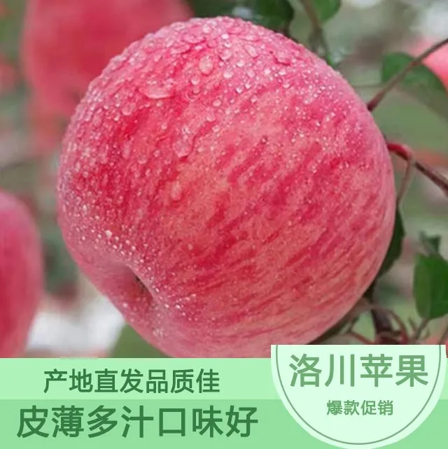 2025陕西洛川红富士苹果当季新鲜脆甜多汁冰糖心产地直发包邮