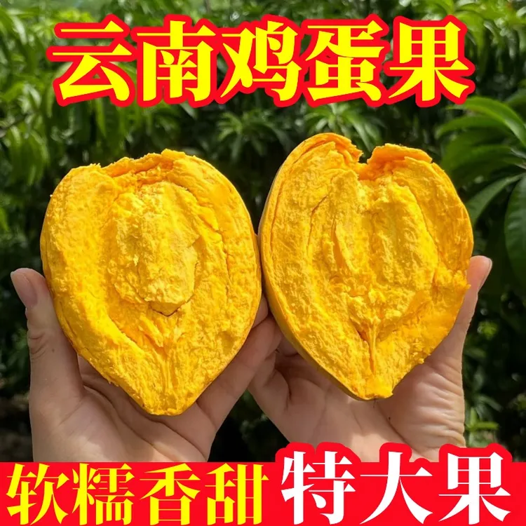 新鲜云南鸡蛋果应当季孕妇水果软糯香甜蛋黄果狮头黄皮果产地直发