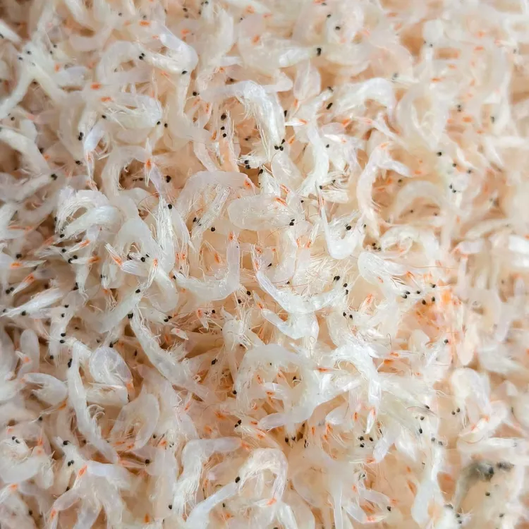 新货上市无盐优质淡干虾皮干净新鲜美味即食海鲜干货