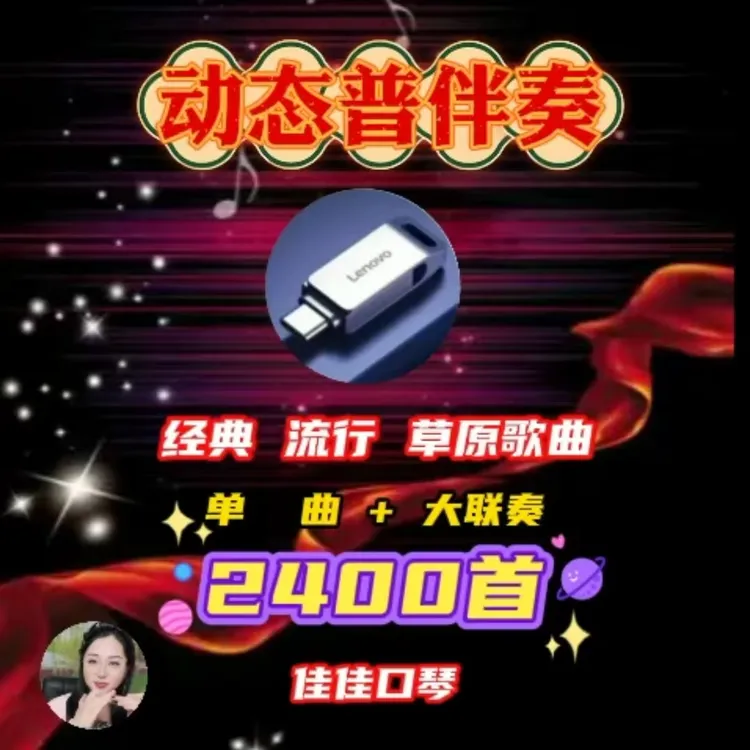 动态谱伴奏大容量电脑两用type-c双接口高速通用安卓《不支持退货》