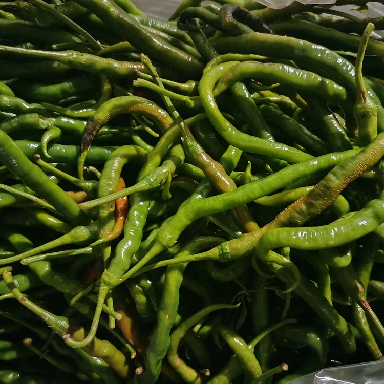 （秋辣椒）湘西本地農家自種