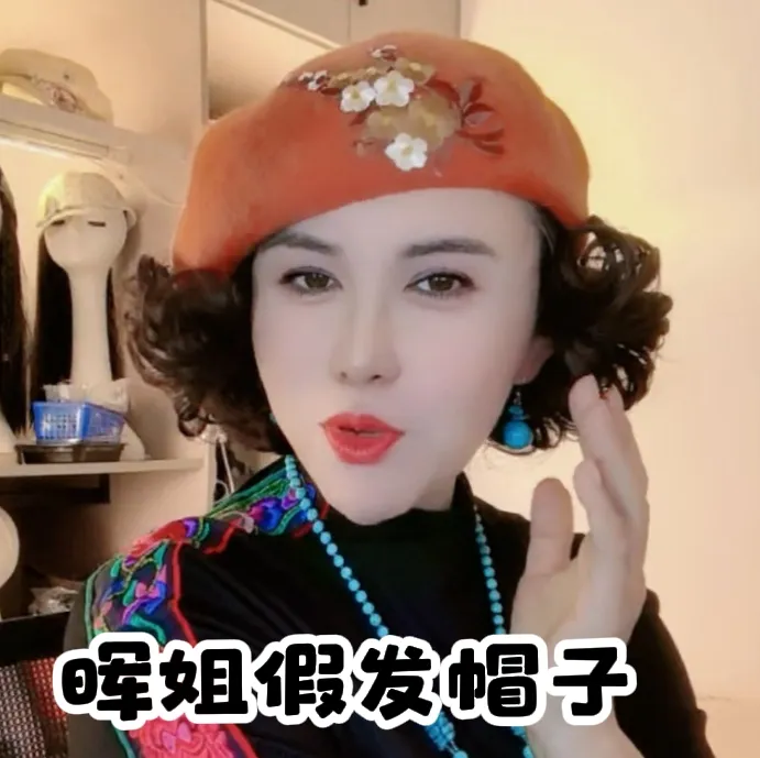 秋冬假发一体绣花毛呢贝雷帽女翻翘卷发时尚个性优雅老年帽网红帽