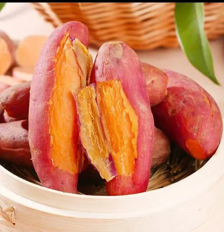 新鲜现挖沙地西瓜红蜜薯红心红薯超甜皮薄软糯农家自种正宗番薯