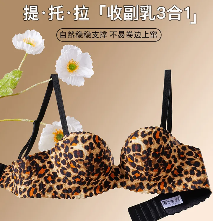 聚拢上托提拉软支撑文胸罩内衣女小胸舒适