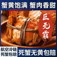【精品特大蟹】大辽河母蟹3.2-2.7两规格8/10只绑绳礼盒装