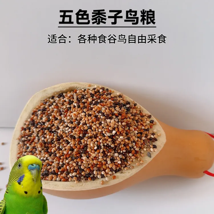 五色混合黍子谷子鹦鹉混合粮虎皮牡丹玄凤中小型鸟食物