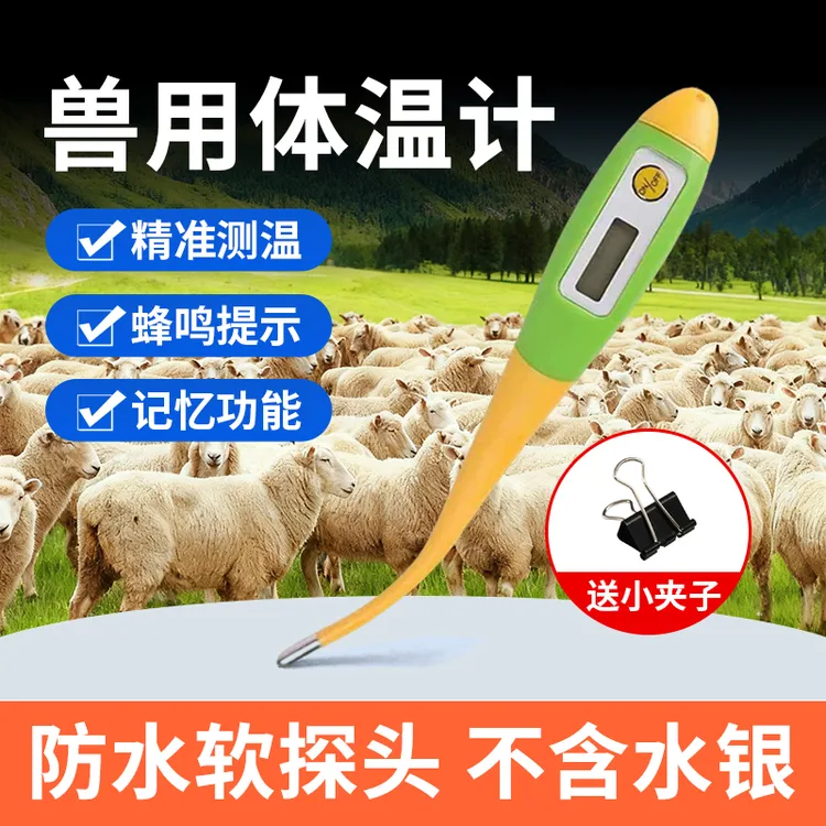 兽用电子温度计猪牛羊畜禽通用