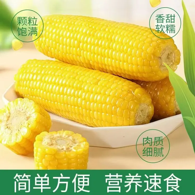 东北鲜食玉米北纬46.58口感香甜软糯10/箱
