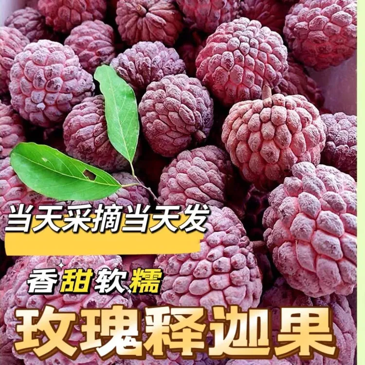 玫瑰释迦果新鲜红皮软糯香甜热带水果当季番荔枝