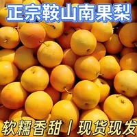 鞍山南果梨新鲜东北特产香水梨酸甜多汁酒香软糯包邮