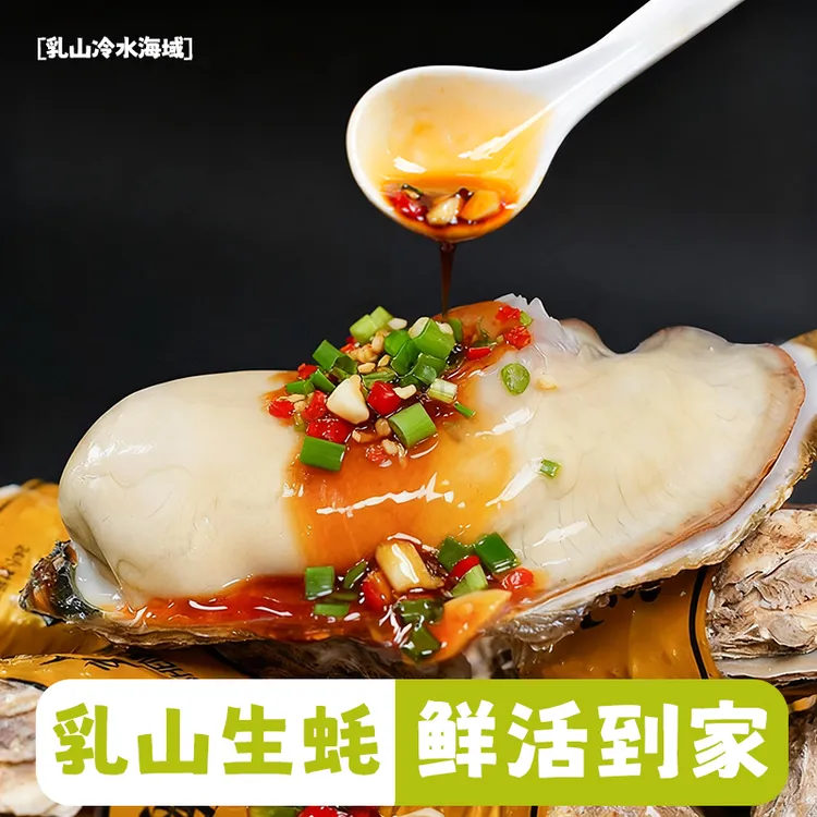 鲜活正宗乳山生蚝乳山牡蛎海蛎子冷水蚝肥嫩5斤装/10斤装产地直发