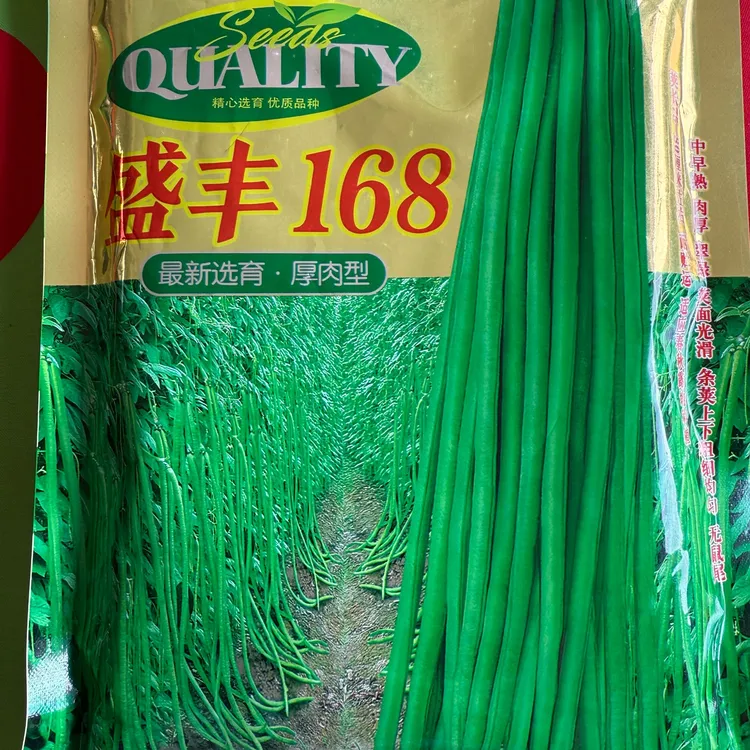 盛丰168，中早熟肉厚翠绿粗细均匀无鼠尾