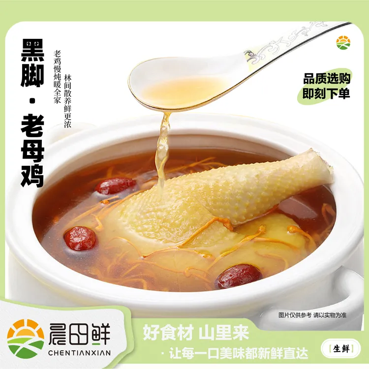 小阿姨专属安徽皖南粮食喂养正宗黑脚黄油老母鸡