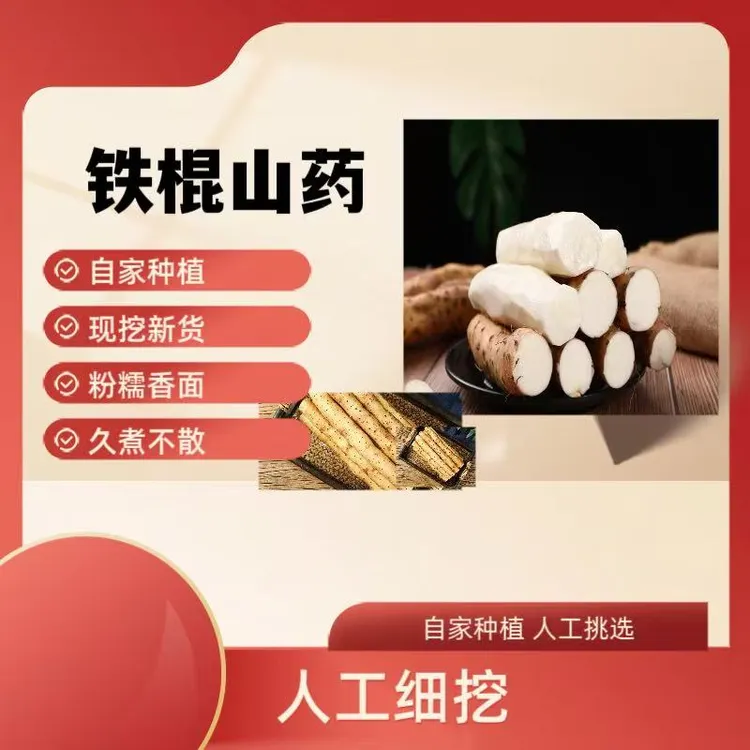 河南焦作温县铁棍山药