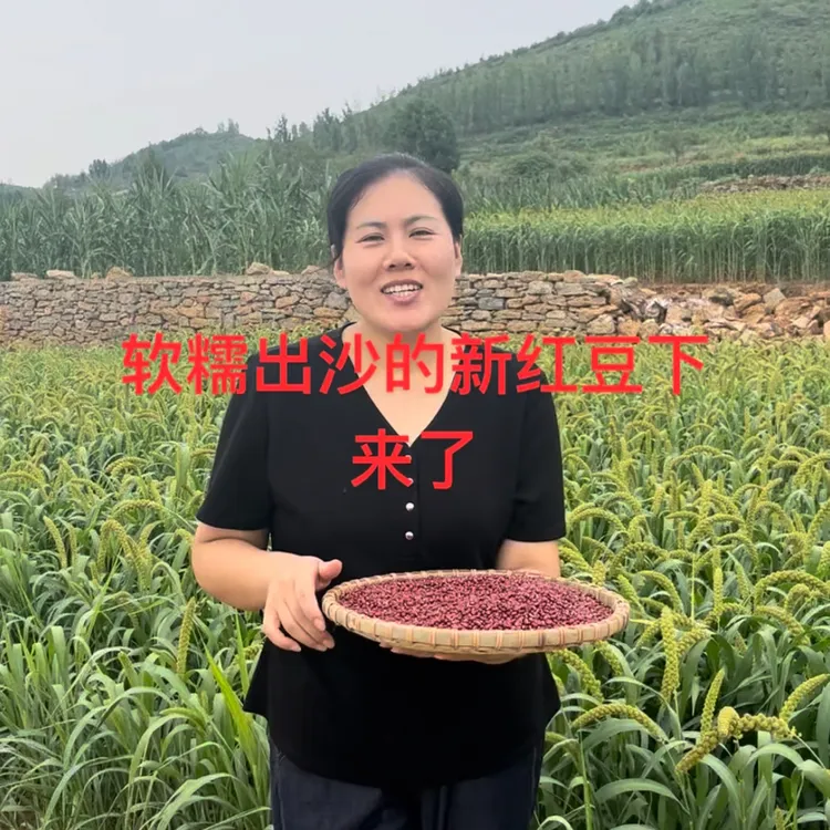 2025年农家种植新红小豆打豆浆煮粥豆沙馅软糯出沙皮薄