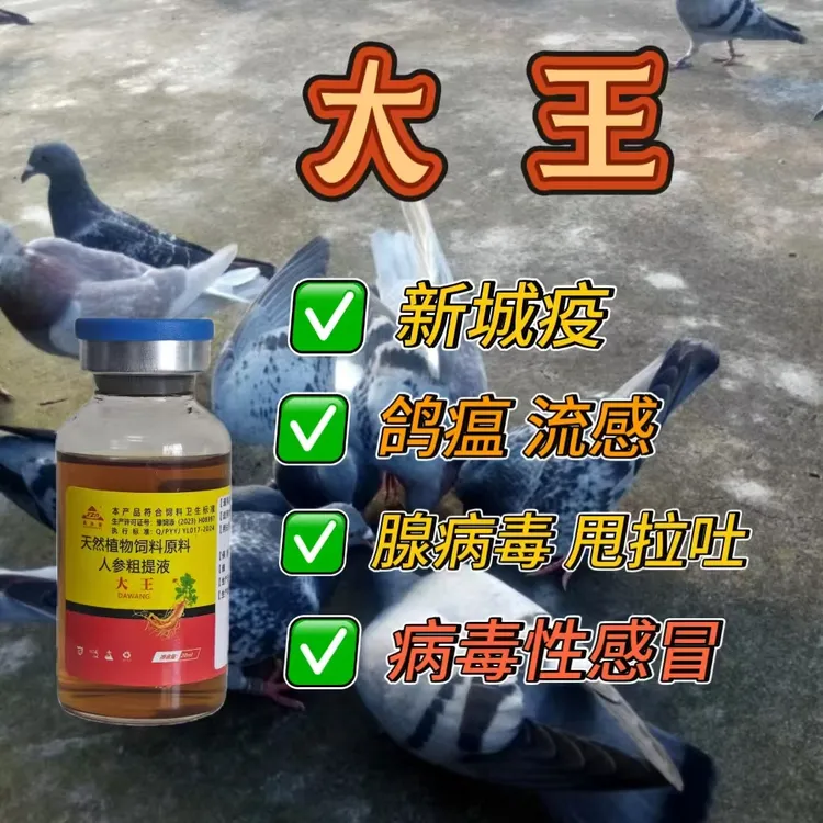 大王：绿色液体增抵抗力强病毒性适用产品使用方便饲料添加剂