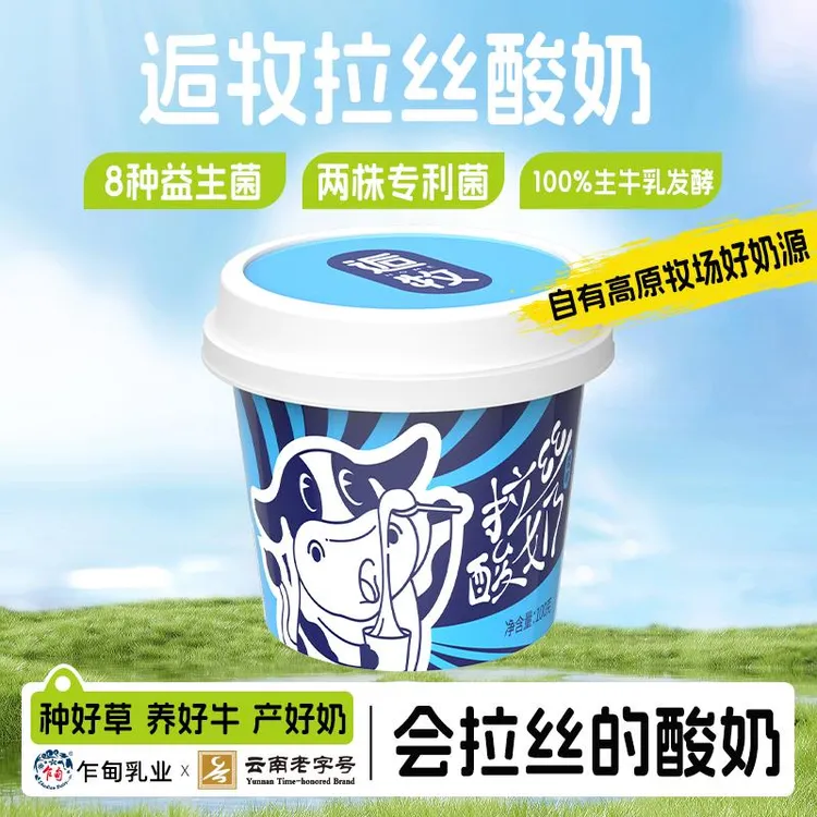 乍甸拉丝老酸奶逅牧原味搅拌低温酸奶杯装专利益生菌杯装宅配到府