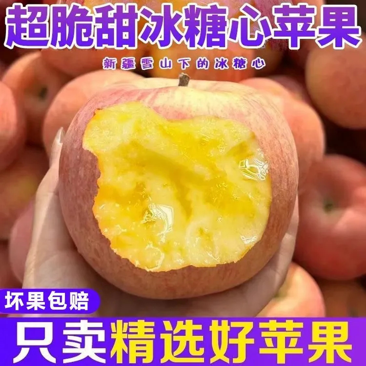 （自家果园）山西万荣正宗冰糖心丑红富士苹果脆甜多汁新鲜采摘