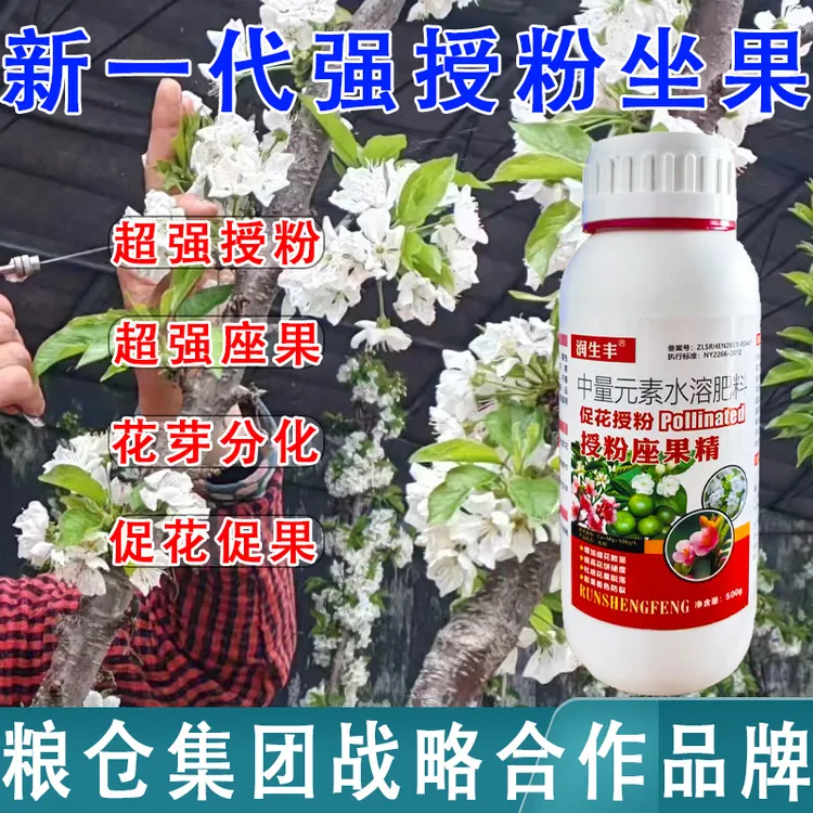 授粉座果精坐果灵防落素叶面肥通用瓜果蔬菜果树授粉精保花保果素