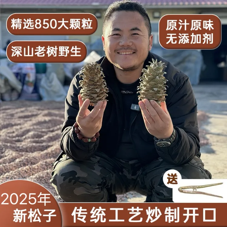 （只发新疆三炮专属链接）2025年黑龙江野生松子笨炒熟500g* 1袋