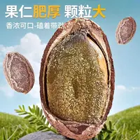 新货大颗粒吊瓜蒌子古法制作酥脆美味坚果零食