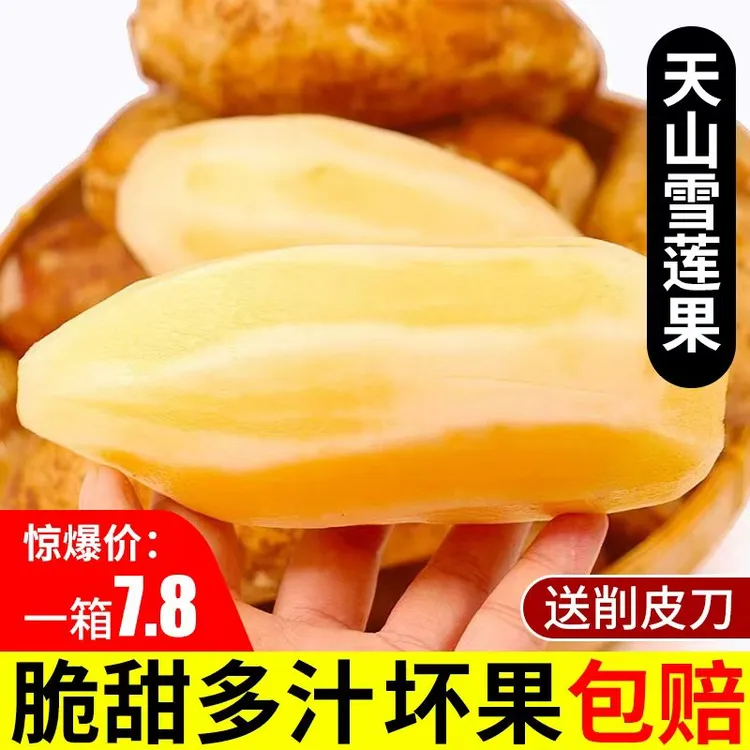 【现挖现发】云南天山雪莲果清甜脆多汁黄心气柱装产地直发坏果包赔