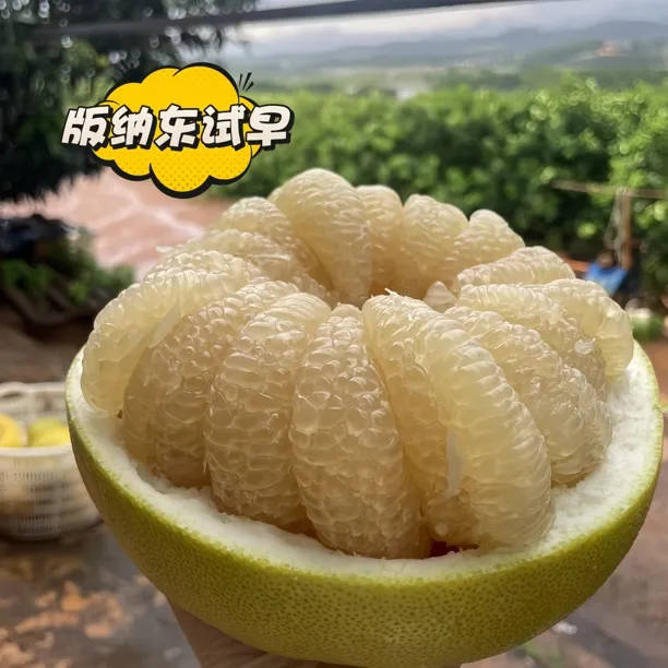 西双版纳东试早柚傣柚青柚新鲜低糖清甜软糯当季水果孕妇老少皆宜