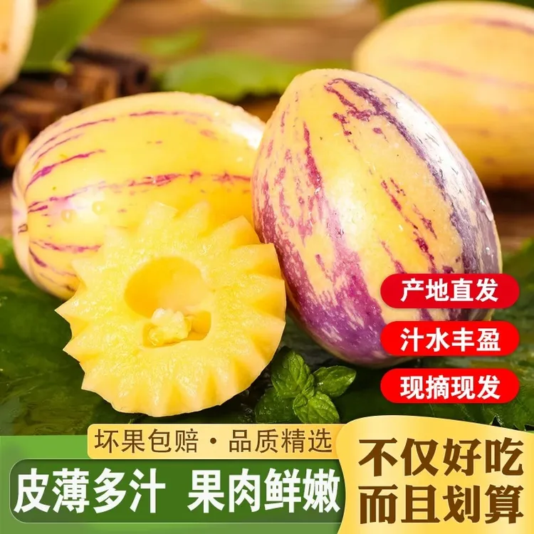 甘肃民勤沙漠人参果树上熟黄果黄肉新鲜水果清甜多汁水果新鲜整发商品图