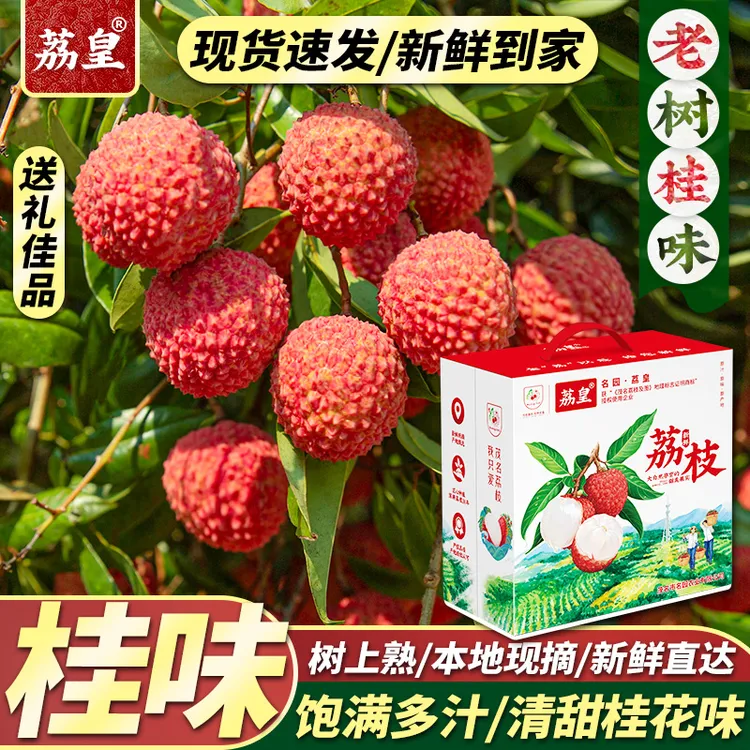【荔皇】广东茂名桂味荔枝4.5斤手提礼盒果园新鲜现摘香甜水果顺丰2