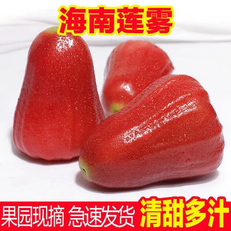 [自家果园]海南红宝石莲雾5斤包邮新鲜清脆清甜脆爽清爽包赔