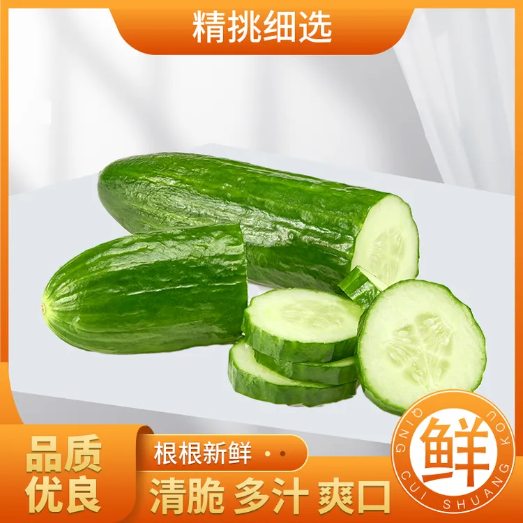 山东新鲜水果小黄瓜3斤4.5斤装生吃清脆爽口美味