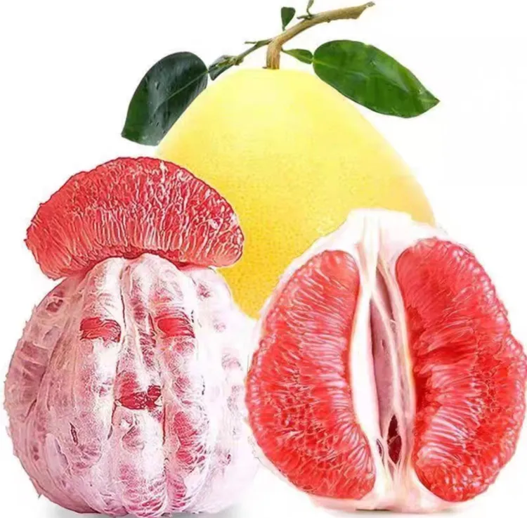 【阆乡汇】红心蜜柚2个6斤