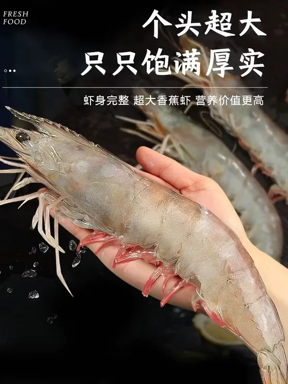 渤海湾捕捞对虾 1斤（12-14只）