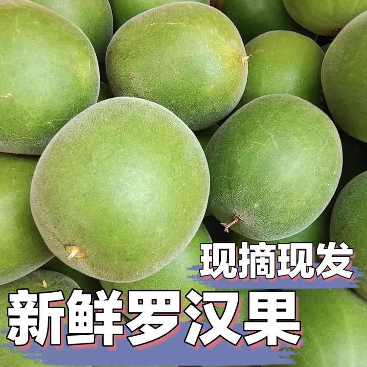 新鲜罗汉果生果现摘鲜罗汉果广西永福特产罗汉果现货可发