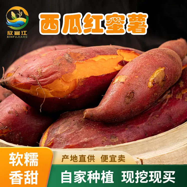 欣富江自种新鲜现挖沙地正宗红心红薯西瓜红蜜薯软糯广西新鲜番薯