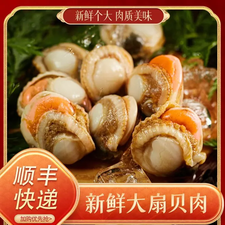 40/60带黄带膏无沙冰坨高品质大号烟台特产渤海港湾扇贝肉活动中