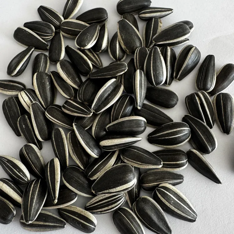 25年新瓜子美人心油磕生瓜子