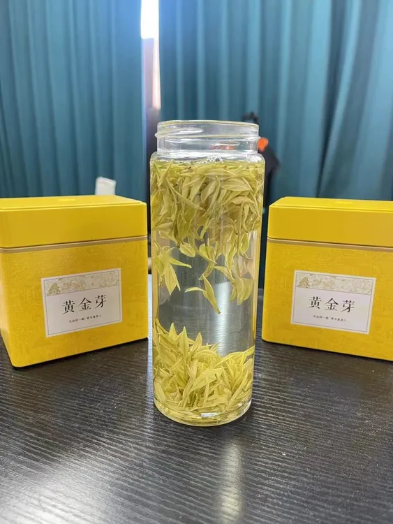 A358中秋节送礼招牌昆铜小熊猫奶白皇金芽奶香味浓2025年新茶一级