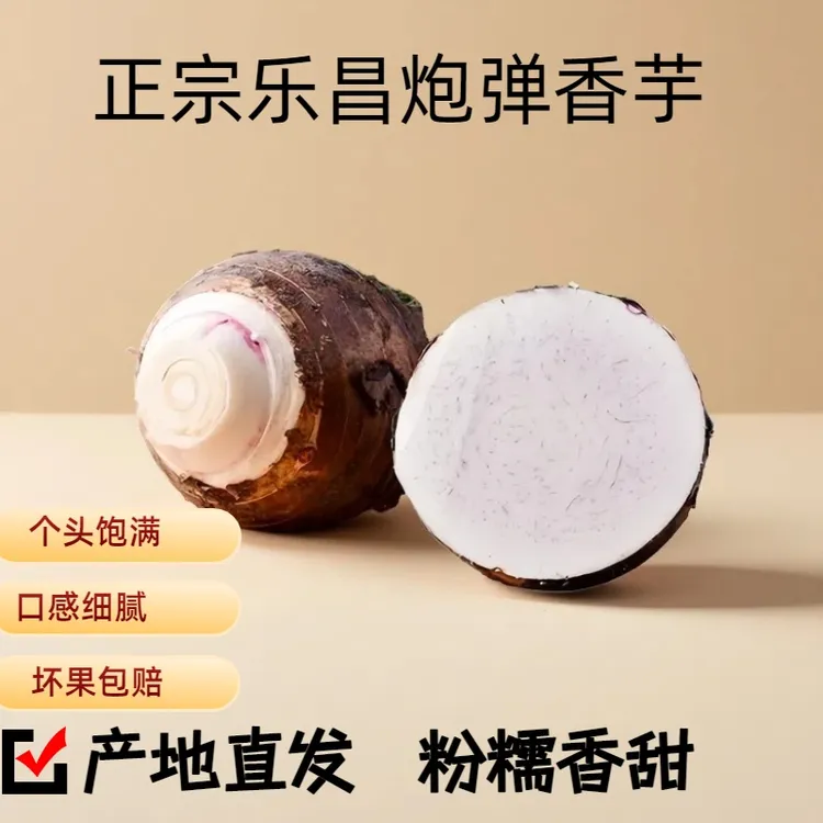 正宗粤北韶关乐昌香芋新鲜现挖炮弹香芋广东槟榔芋