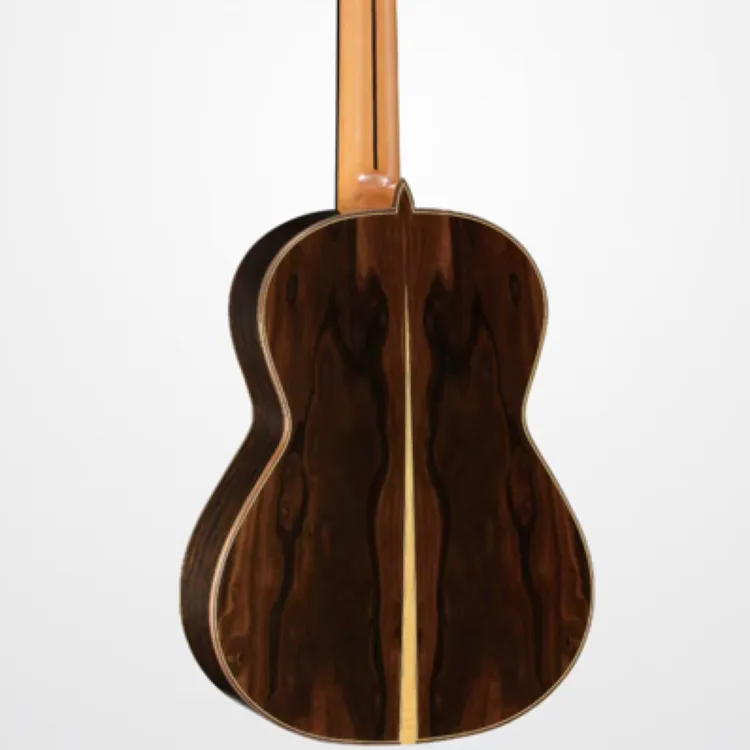 郭玉龙手工吉他音乐会型号