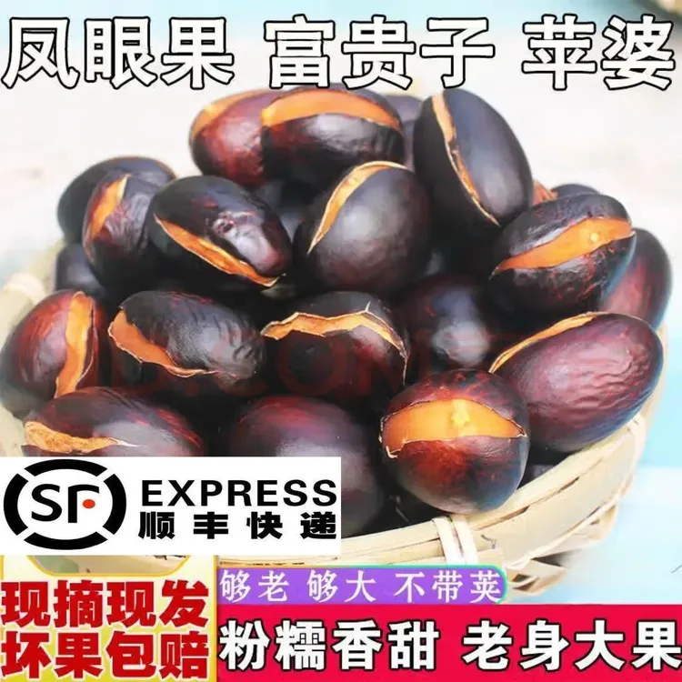 凤眼果新鲜萍婆果九层皮富贵子六旺子净果不带荚奇珍异怪水果