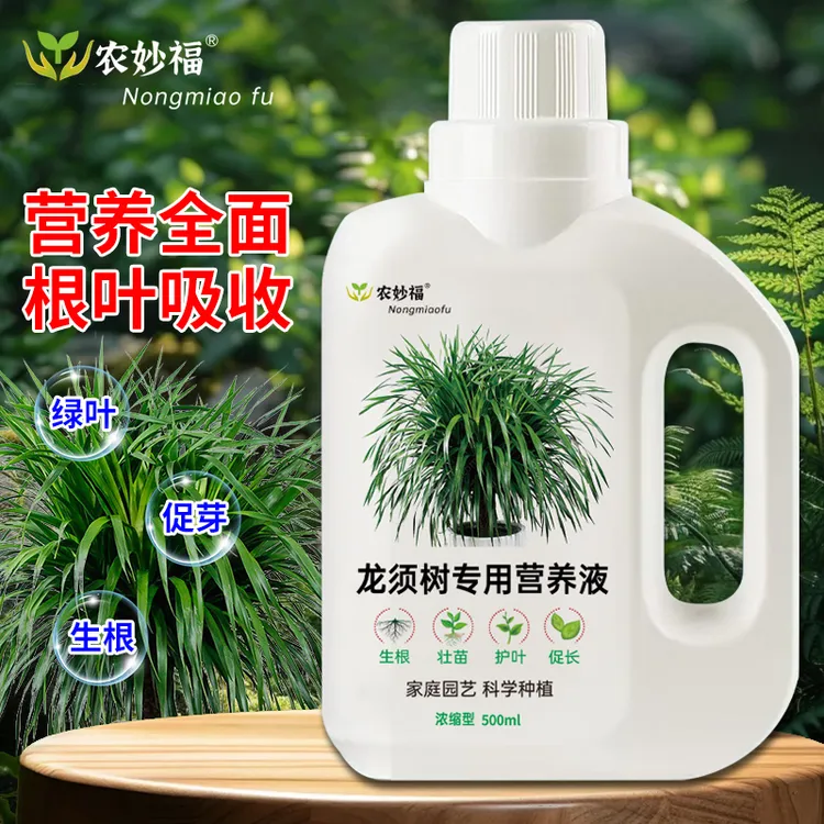 龙血树专用营养液室内龙须树防黄叶干尖防倒伏绿植通用水溶液体肥
