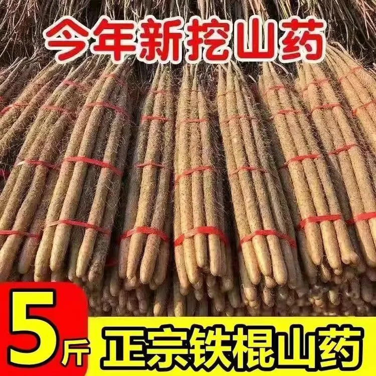正宗铁棍山药新鲜蔬菜铁杆小白嘴非河南焦作温县垆土淮山菜