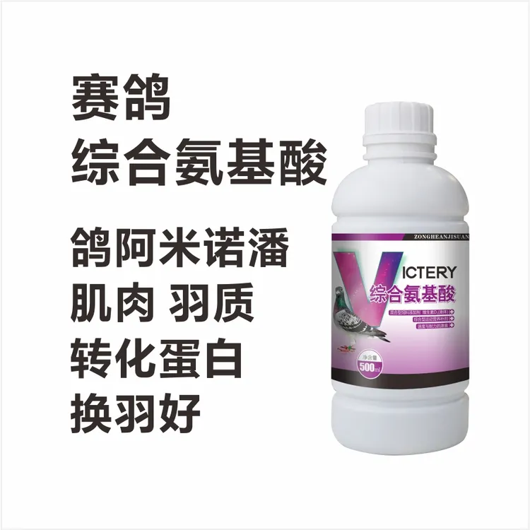 汉诺威综合氨基酸500毫升赛鸽阿米诺潘信鸽鸽子用品