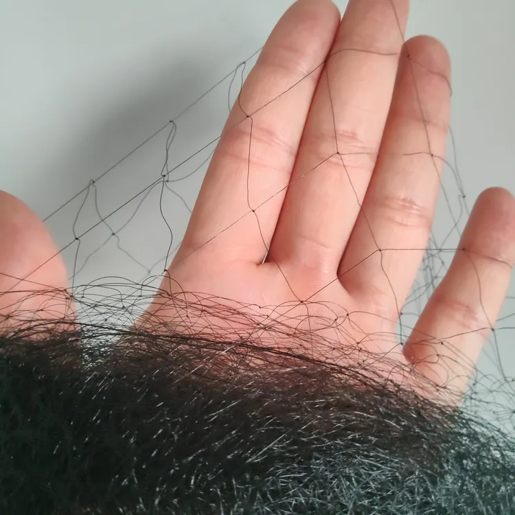 户外一次性丝网农田专用网果园菜园防鸟防虫防护网强拉力耐用