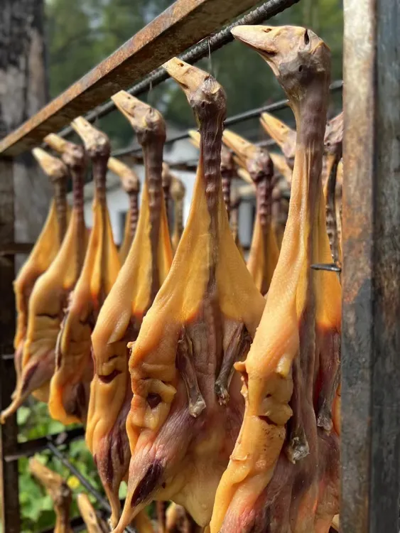湖南邵阳新宁特产风吹腊鸭板鸭鸭子农家腌制肉香肉质紧实1.8斤/只