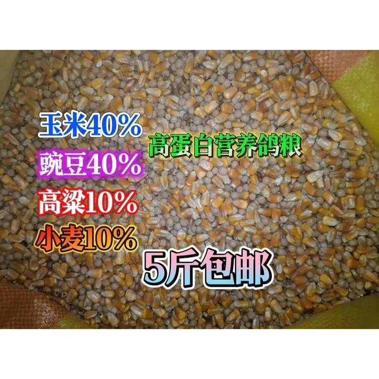 高蛋白营养鸽粮 5斤 包邮
