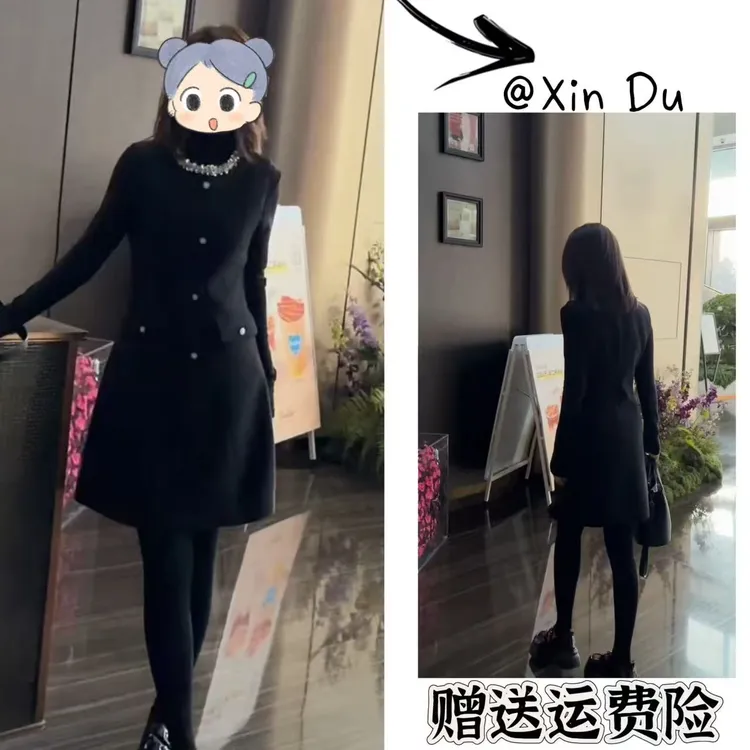 2025秋冬季新款时尚显瘦气质女士网红洋气两件套百搭款D25282